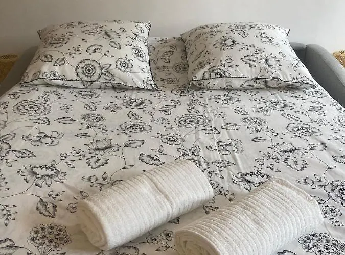 Apartmán Lavandou - 500m Le Lavandou